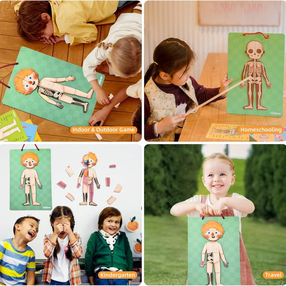 Magnetic Human Body Puzzle