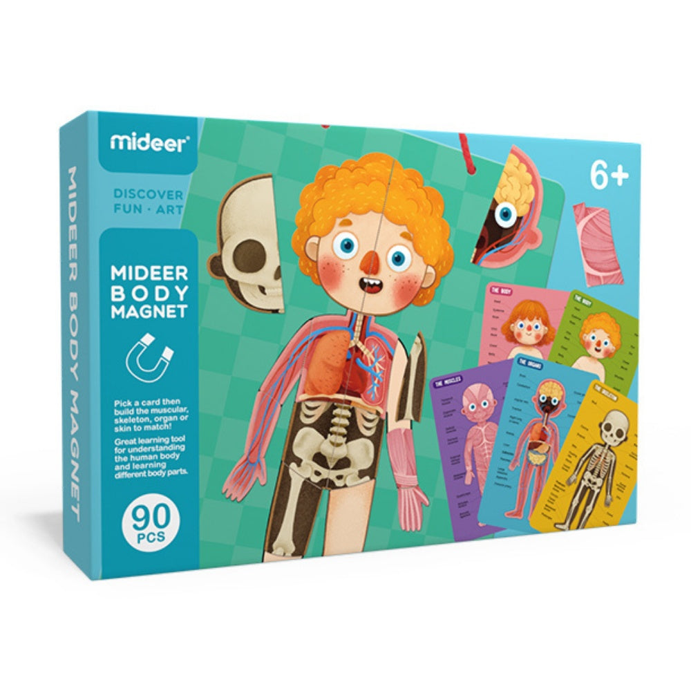 Magnetic Human Body Puzzle
