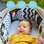 Taf Toys Koala Clip-on Pram Book